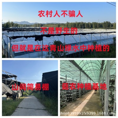 新货香菇干货500克产地直发冬厚菇批发香菇干货散装袋装剪柄肉厚图5