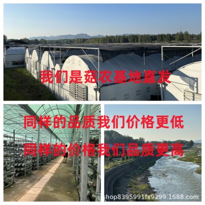 香菇干货一斤批发剪脚肉厚散装冬厚菇薄菇产地直发干香菇新货剪柄图4