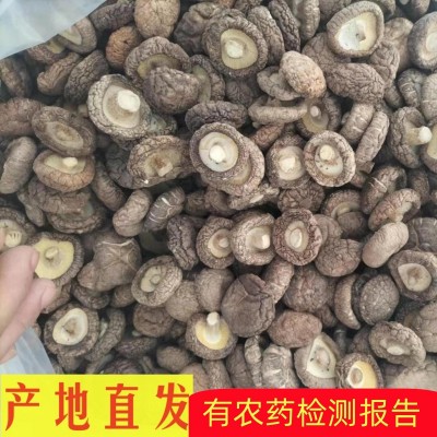 香菇干货一斤批发剪脚肉厚散装冬厚菇薄菇产地直发干香菇新货剪柄图1