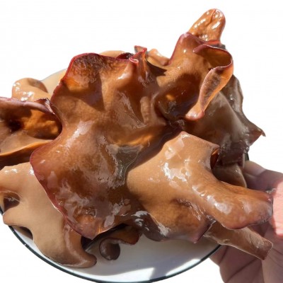 白背黑木耳干货毛木耳干木耳丝餐饮饭店螺蛳粉脆木耳产地直发皮木图4