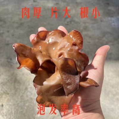 白背黑木耳干货毛木耳干木耳丝餐饮饭店螺蛳粉脆木耳产地直发皮木图2