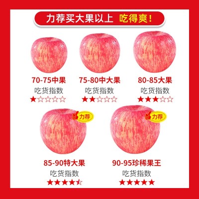 山西红富士苹果9斤新鲜水果应当季整箱丑萍果嘎啦苹果冰糖心包邮5图4