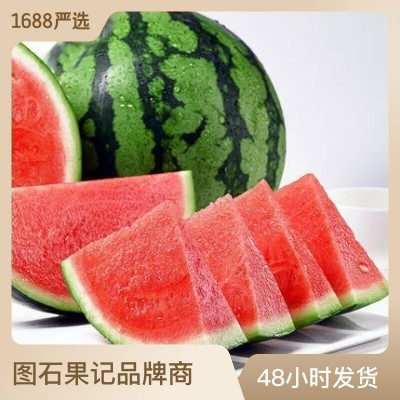 【严选】云南麒麟西瓜代发8斤整个新鲜应季沙瓤皮薄多汁孕妇水果图3