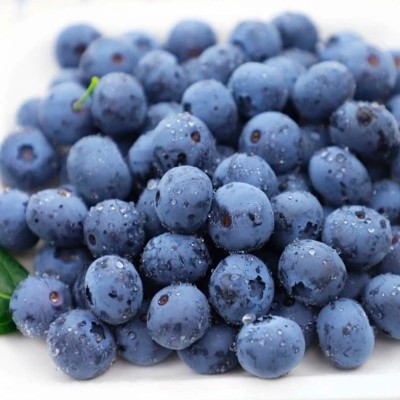 现摘现发新鲜蓝莓 蓝莓鲜果小果代发500g 可礼盒一斤装蓝莓批发图5