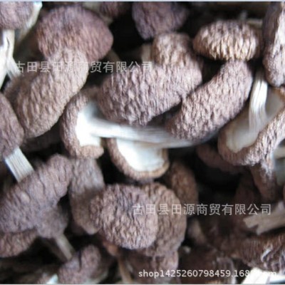 田源【古田产地】福建古田未开伞茶树菇 茶薪菇 冰菇烘干 1斤图4