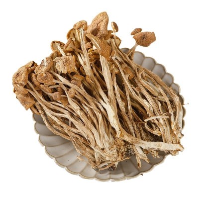 福建古田茶树菇干货500g不开伞干茶树菇无熏硫商用批发食用菌批发图4