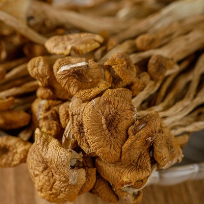 福建古田茶树菇干货500g不开伞干茶树菇无熏硫商用批发食用菌批发图2