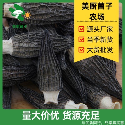 Zqv云南特产羊肚菌羊肚菇新鲜头茬非野生煲汤火锅菌汤包干货营养图2