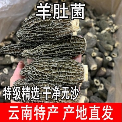 Zqv好物羊肚菌无熏硫煲汤必备产地直发批发价孕妇儿童煲汤菌图3