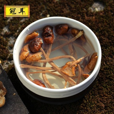 冠耳 产地直批茶树菇500g 茶薪菇未开伞 冰菇含苞 散装/包装/图5