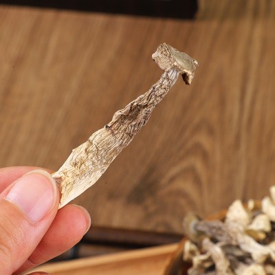 鹿茸菌干货鹿茸菇500g散装批发新鲜脆嫩切根蘑菇香菇支持一件代发图4