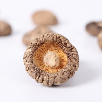 燕之坊香菇批发 南北干货香菇煲汤西峡香菇 无根香菇干批发图2