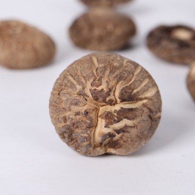 燕之坊香菇批发 南北干货香菇煲汤西峡香菇 无根香菇干批发图4