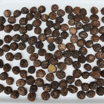 香菇干货散装干香菇500g特产东北非纯野生香菇家用农家小香菇炖鸡图2