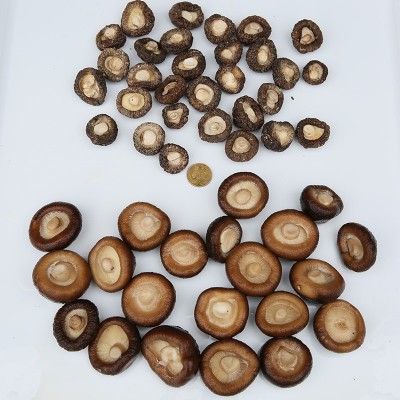 香菇干货散装干香菇500g特产东北非纯野生香菇家用农家小香菇炖鸡图4