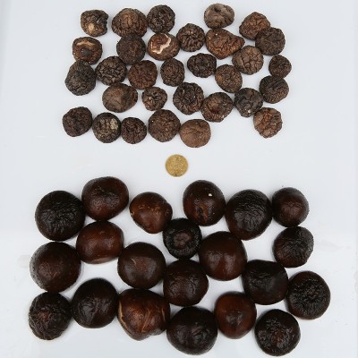香菇干货散装干香菇500g特产东北非纯野生香菇家用农家小香菇炖鸡图3