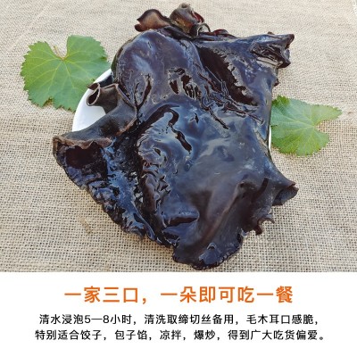 毛木耳干货黑木耳脆木耳大木耳白背毛木耳食用地耳500g散装包邮图5