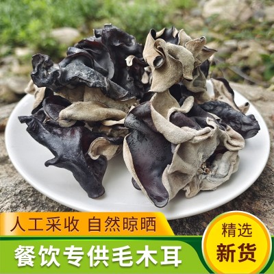 毛木耳干货黑木耳脆木耳大木耳白背毛木耳食用地耳500g散装包邮图2