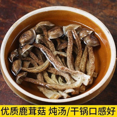 鹿茸菇干货鹿茸菌新货福建特产菌菇蘑菇新鲜农家干香菇10一件代发图3