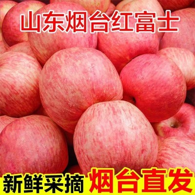 正宗烟台栖霞红富士苹果脆甜多汁新鲜应季水果整箱包邮批发代发·图2