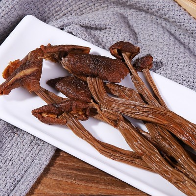 茶树菇江西干货菌菇类农产品茶树菇煲汤火锅食用菌500克袋装批发图2