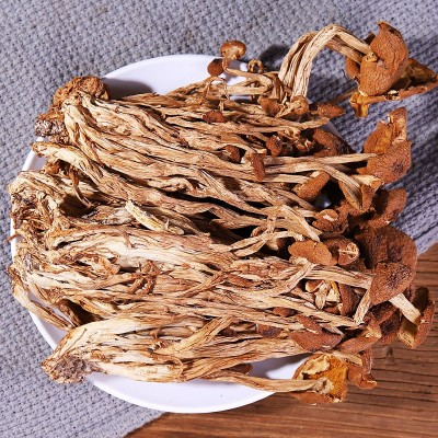 茶树菇江西干货菌菇类农产品茶树菇煲汤火锅食用菌500克袋装批发图4