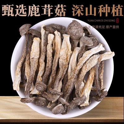 鹿茸菇干货批发鹿茸菌新货无硫食用菌煲汤火锅食材干度好古田菌菇