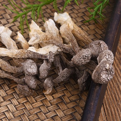 鹿茸菇干货批发鹿茸菌新货无硫食用菌煲汤火锅食材干度好古田菌菇图3