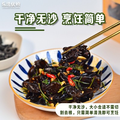 袋装东北黑木耳云耳碗耳南北干货土特产品椴木秋木耳食用菌菇批发图2