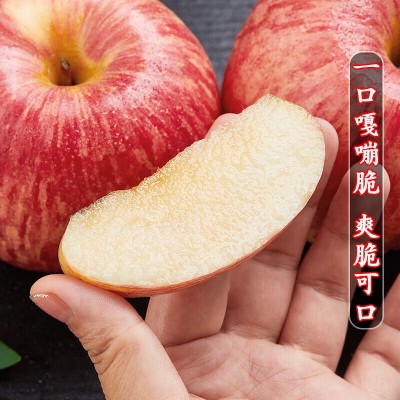 山东烟台苹果栖霞水晶红富士当季新鲜吃的水果甜脆一整箱批图4