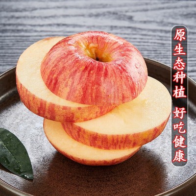 山东烟台苹果栖霞水晶红富士当季新鲜吃的水果甜脆一整箱批图2