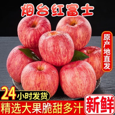 山东烟台苹果栖霞水晶红富士当季新鲜吃的水果甜脆一整箱批图3