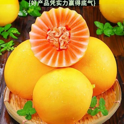 黄河蜜瓜现摘应季黄金瓜当季新鲜黄金蜜瓜香甜瓜3/5/9斤非哈密瓜图3