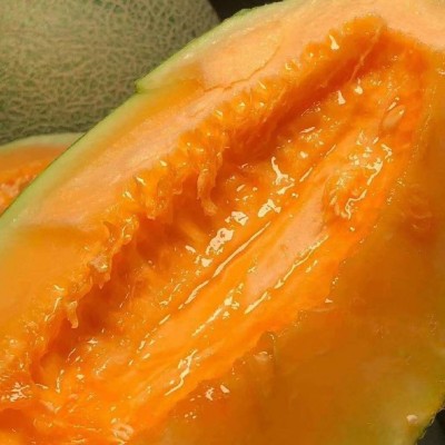 阎良西州蜜瓜哈密瓜新鲜水果10斤装脆甜多汁甜瓜应季瓜果非网纹瓜图4