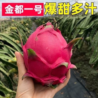 广西金都一号红心火龙果超甜当季新鲜水果5斤/8斤非海南火龙果红图2