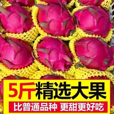 广西金都一号红心火龙果超甜当季新鲜水果5斤/8斤非海南火龙果红图3