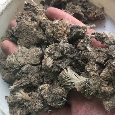 发酵羊粪完全发酵腐熟的有机肥 发酵绿肥 水产肥池塘稻田莲藕用肥图2