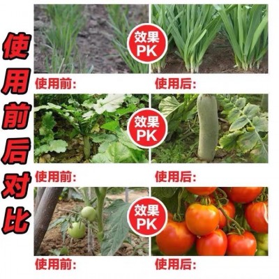 大力仑复混肥大量元素肥高磷高氮高钾膨果蔬菜果树控释掺混肥料图4