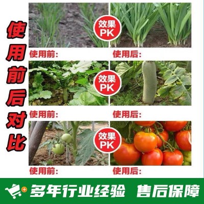 掺混肥水溶氮磷硫酸钾原装玉米蔬菜水稻一次性施肥28-6-8图2