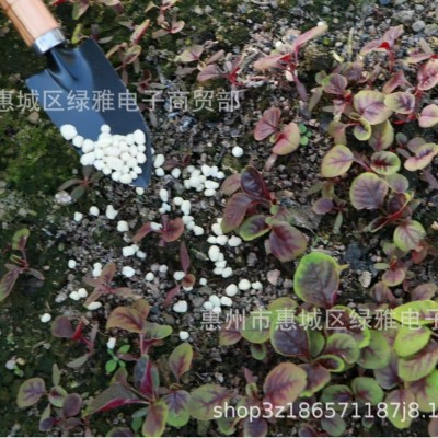 辣椒复合肥料富含氮磷钾15-15-15促花果缓释肥辣椒颗粒有机复合肥图3