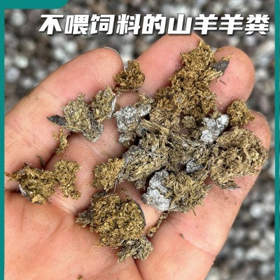 羊粪发酵有机肥天然种花卉果蔬菜基肥追肥无异味纯羊粪颗粒羊屎蛋图4