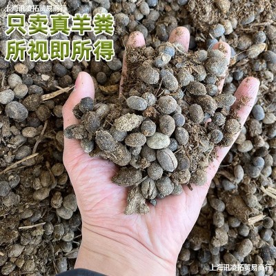 10-100斤羊粪发酵有机肥盆栽肥料种菜肥花卉蔬菜农家纯羊粪蛋图3
