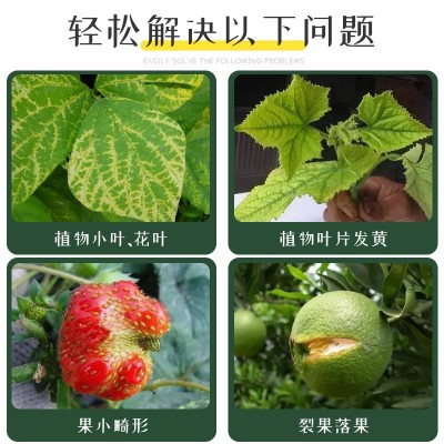 钙镁硼铁锌肥微量元素肥水溶肥冲施肥果树蔬菜园艺通用叶面肥图2