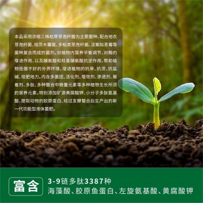 厂家直供太子龙肽酶13菌微生物菌剂适用于瓜果蔬菜花卉大田作物等图2