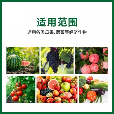 厂家直供太子龙肽酶13菌微生物菌剂适用于瓜果蔬菜花卉大田作物等图3