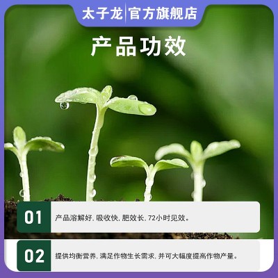 厂家直供太子龙多肽酶钾氨速效肥提高品质生根壮苗膨大着色破板结图3