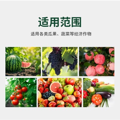 厂家直销太子龙活力钙镁重量元素水溶肥料叶面肥促进根系生长防裂图3