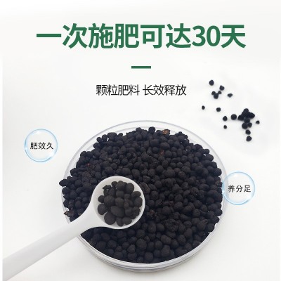 绿萝专用肥肥料花肥有机肥开花生根缓释颗粒肥花卉绿植物营养肥料图3