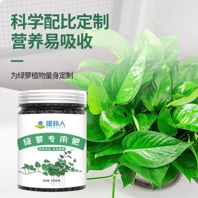 绿萝专用肥肥料花肥有机肥开花生根缓释颗粒肥花卉绿植物营养肥料图2