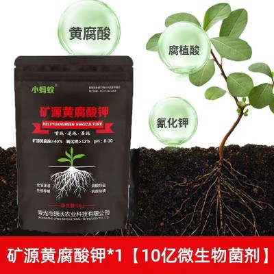 矿源黄腐酸钾水溶肥生根壮苗优等农用生根粉松土防腐通用型冲施肥图3